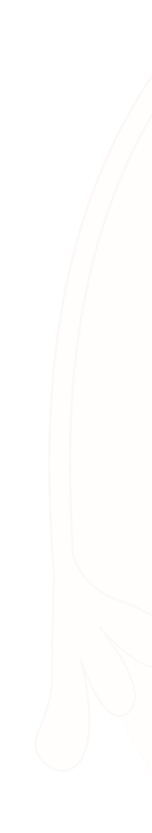  mark